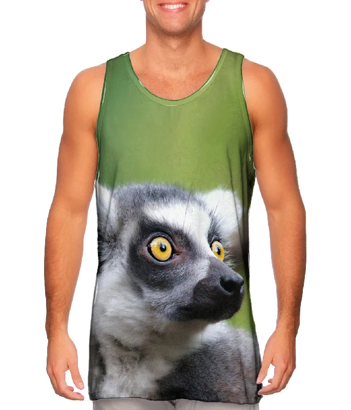 Full Attentention Grey Lemur